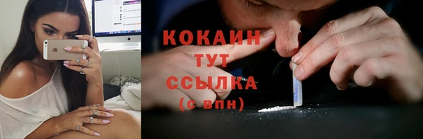мдпв Осинники